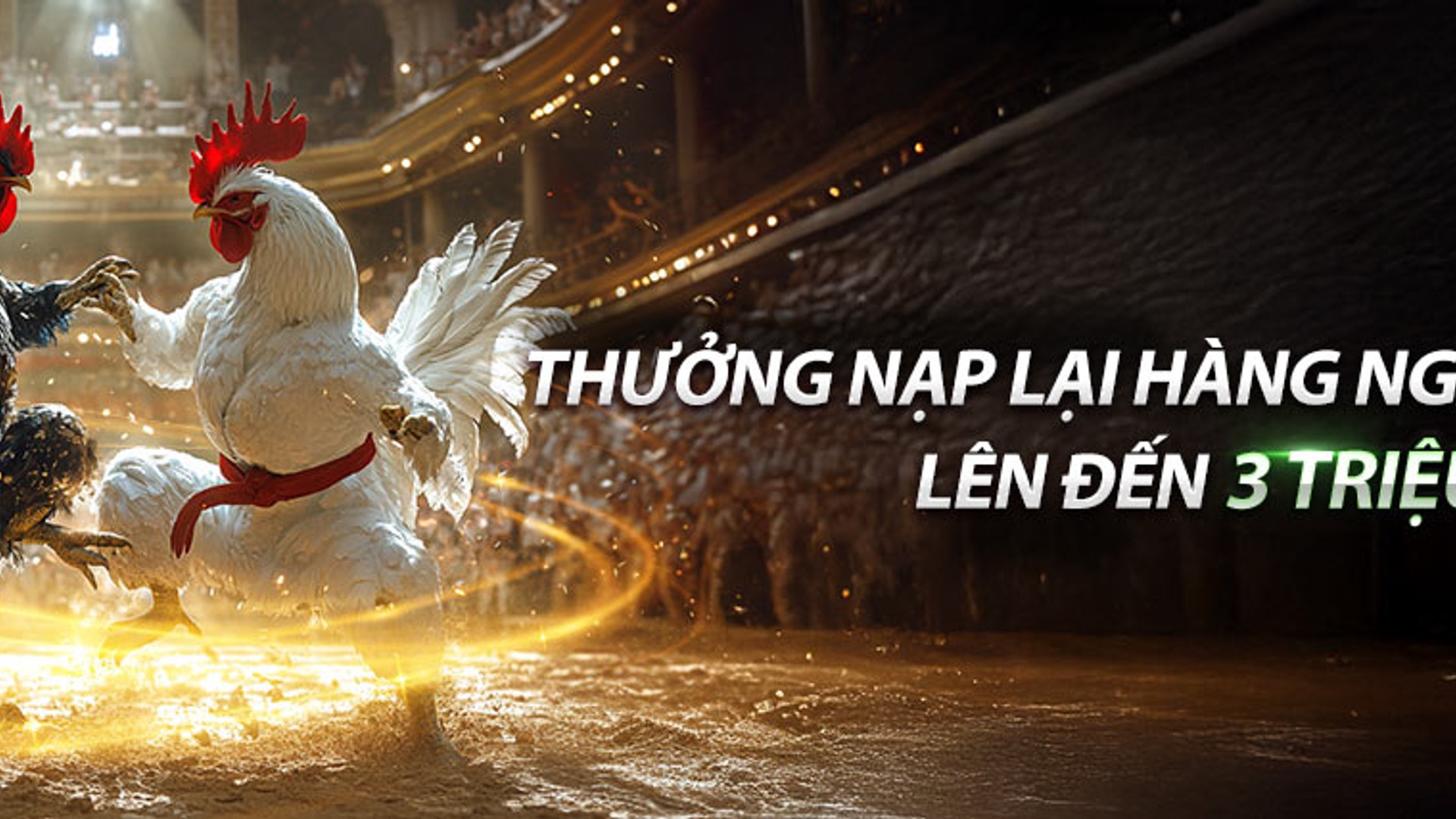 Đá gà OKfun - Sân đấu kịch tính và cơ hội thắng lớn