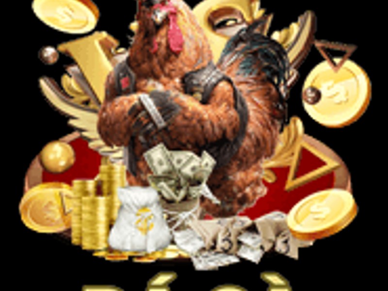 Mẹo cá cược Đá gà tại okfun