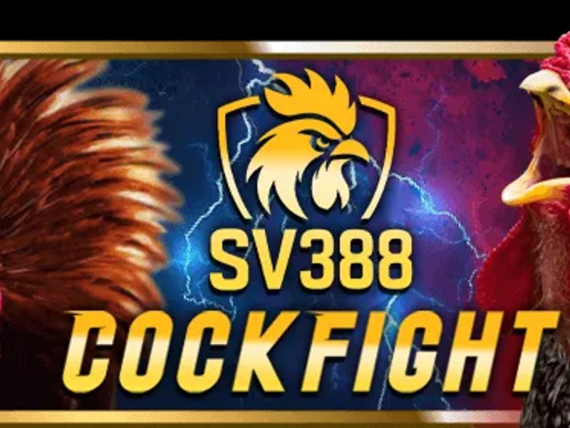 Đá gà trực tuyến kịch tính