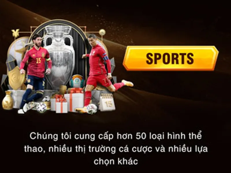 Cá cược thể thao trên okfun thethao.com
